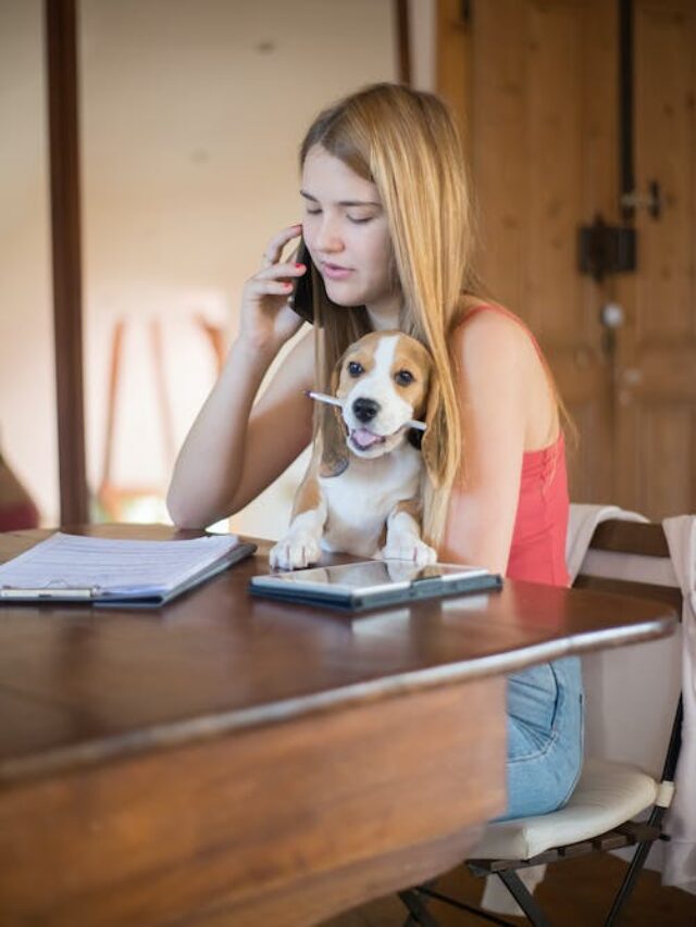 6 Most Loyal Dog Breeds