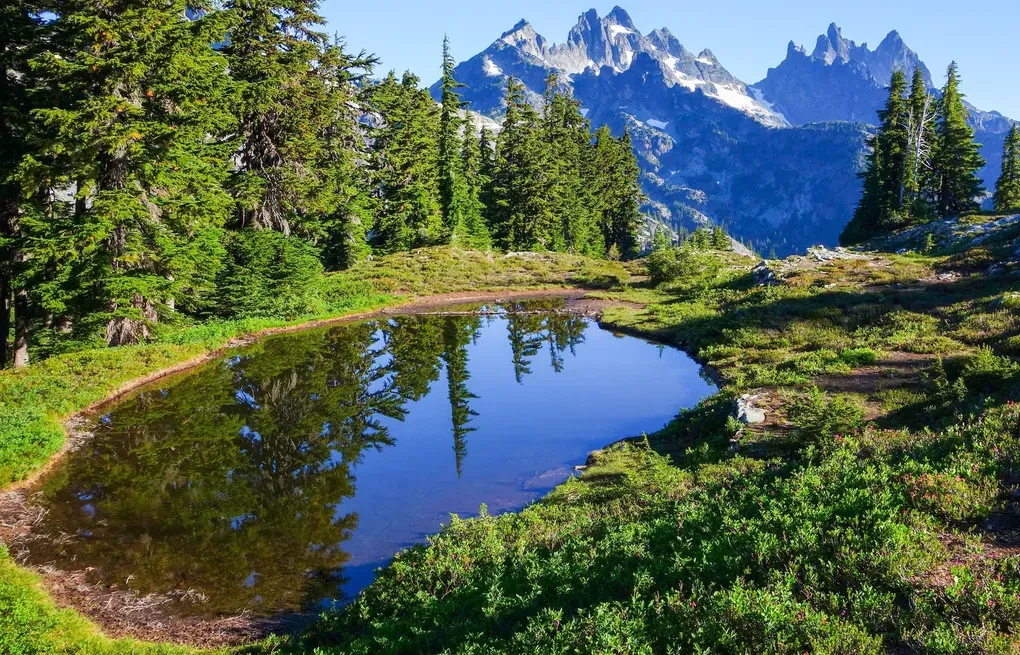 7 Washington State Parks With The Highest Elevation Hikes