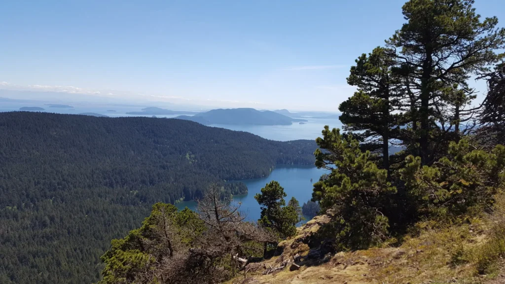 7 Washington State Parks With The Highest Elevation Hikes