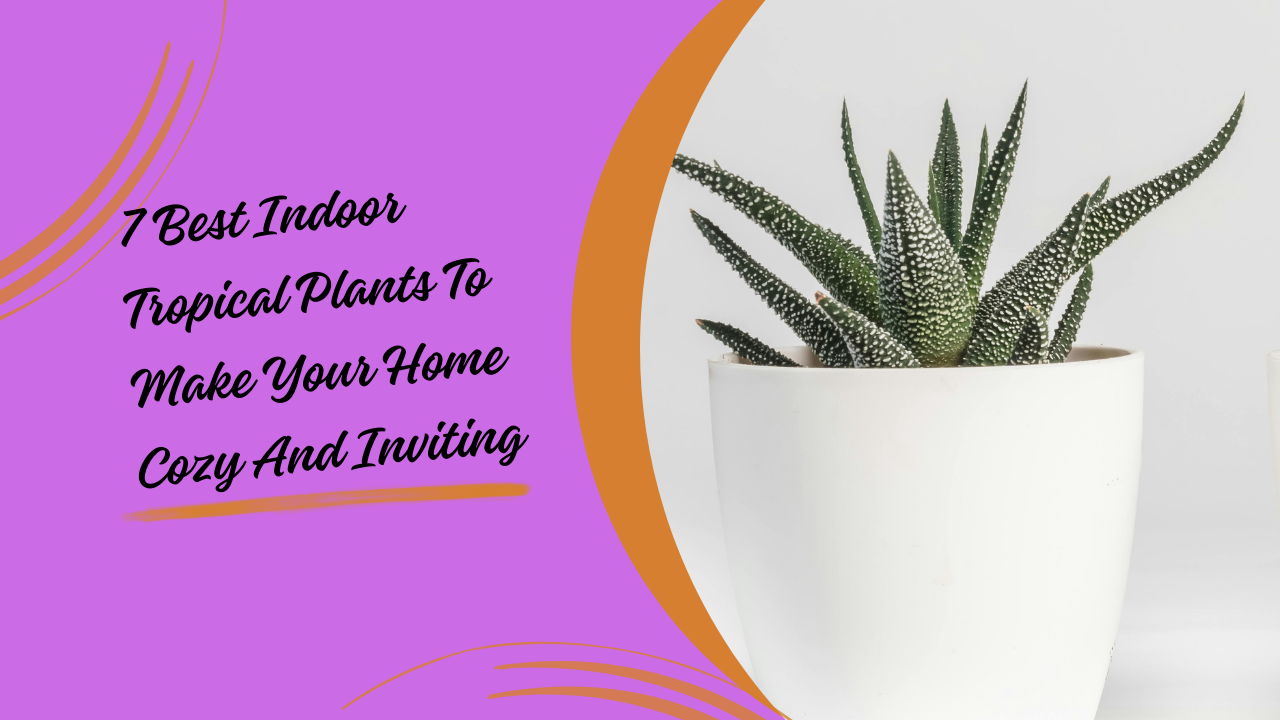 7 Best Indoor Tropical Plants To Make Your Home Cozy And Inviting
