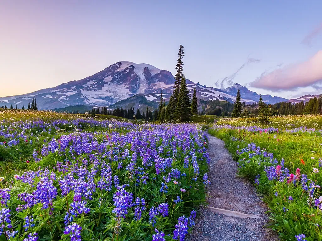 7 Washington State Parks With The Highest Elevation Hikes